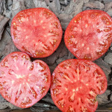 Red Brandywine Beefsteak Tomato Seeds – Heirloom Beefsteak, Sweet-Tangy Flavor, Perfect for Home Gardens