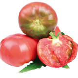 Pink Brandywine Tomato Seeds – Classic Heirloom, Sweet Rich Flavor, Rose Aroma, Fresh Eating