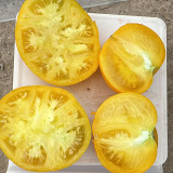 'Yellow Beauty' Beefsteak Tomato Seeds – Heirloom Variety, Sweet, Juicy, Sandy Texture, High-Yielding