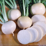Xiatong No.2 F1 Turnip Seeds | Early-Maturing Hybrid White Turnip with Glossy Roots, Tender Flesh & Superior Taste