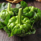Qihe Agriculture Jiangbing Pumpkin Seeds – Mid-Early Variety, Cold-Tolerant, Unique Flavor for Garden Planting