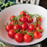 Hanging Tomato Seeds - Cherry Tomato Ideal for Container Gardening, Explosively Juicy Flesh, Combines Ornamental Value