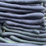 Black Oxleg Black Honey Pumpkin Seeds – Vigorous Growth, High Yield, Orange-Yellow Flesh, Sweet Flavor
