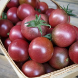 Reinhard Kraft's Purple Sugar Cherry Tomato Seeds | Indeterminate Variety, Rich Flavor, Large Clusters, High Yield