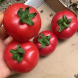 Pink Peach Fruit Tomato Seeds - Early Maturing, Easy to Grow, Unique Ridged Skin, Sandy & Juicy, Perfect for Fresh Eating