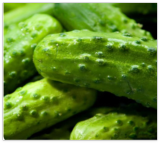 National Pickling Cucumber Seeds Fresh Seeds