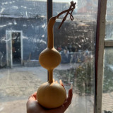 Xiaosan Ting Gourd Seeds – Unique shape, wide adaptability, easy to grow, perfect for home gardening