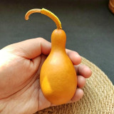 Small Bottle Gourd Seeds – High-Quality Ornamental Calabash, Easy to Grow for Trellis & Home Decor