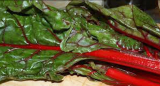 Rhubarb Swiss Chard Seeds, Organic Red Stem Swiss Chard  – Edible Leafy Greens for Home Garden