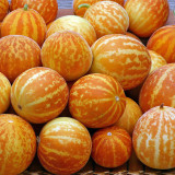 Queen Anne's Pocket Melon Seeds - Heirloom Muskmelon, Pocket-Sized Fruit, Sweet Fragrant Edible Melon