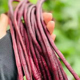 Chunqiu Red Cowpea Seeds - Rose-Red Pods, High-Yield, Easy to Grow, Thick Tender Flesh, Excellent Flavour