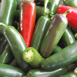 Heirloom Jalapeño Pepper Seeds – Moderately Spicy, Thick Flesh, Crisp Texture for Garden & Cooking