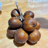 Salak Palm (Snake Fruit) Seeds | Salacca zalacca, Tropical Edible Fruit Palm Tree for Garden Planting
