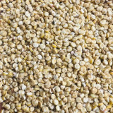 White Quinoa Planting Seeds – Chenopodium quinoa, High-Yield, Adaptable & Stable Crop