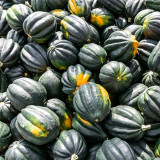 Acorn Squash Seeds - Cucurbita pepo, High Yielding Edible Seed Squash, Sweet Starchy Flesh, Ideal for Home Gardening
