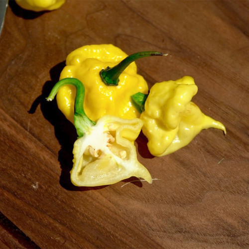 KS Lemon Starrburst Pepper Seeds | Capsicum chinense | Rare Lemon-Yellow Chili Pepper