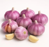 Heirloom Purple Hardneck Garlic Bulbs | Allium sativum var. ophioscorodon | Non-GMO Cold Hardy Planting Seed Garlic