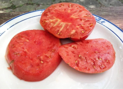 German Johnson Tomato Seeds | Solanum lycopersicum 'German Johnson' | Non-GMO Large Meaty Heirloom Beefsteak Slicing Tomato