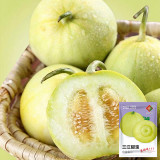 Sanjiang Tianbao Muskmelon Seeds | Cucumis melo var. makuwa | Early 35-Day Mature 17 Brix Crisp Thin-Rind Melon