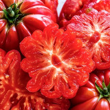 Mushroom Basket Tomato Seeds | Solanum lycopersicum | Russian Heirloom Ribbed Meaty Low-Seed Beefsteak Tomato