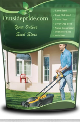 SPF-30 Hybrid Texas Bluegrass Seeds | Poa arachnifera | Heat & Drought Tolerant Turf Grass