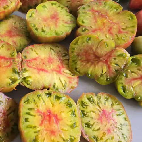 1106 Luxury Piglet Tomato Seeds | Solanum lycopersicum | Indeterminate Multicolor Tomato with Strawberry-Pineapple Flavor