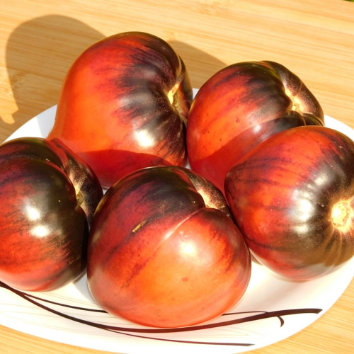 1070 Galobo Tomato Seeds | Solanum lycopersicum | Indeterminate Midseason Pink Heart Antho Tomato, Sweet High-Yielding