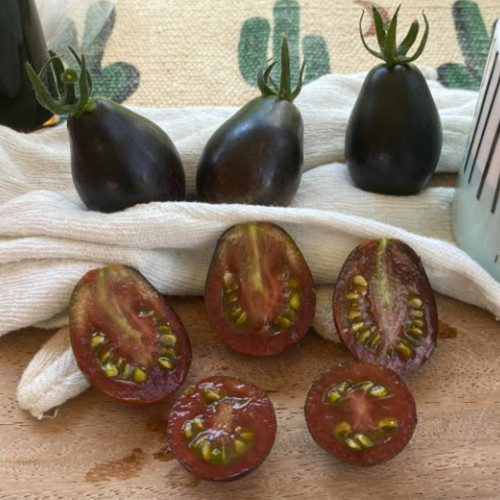 1055 Blue Keyes Tomato Seeds | Solanum lycopersicum | Disease-Resistant Black Antho Cherry Pear Tomato, Very Sweet