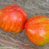 1010 Kozula 151/1 Tomato Seeds | Solanum lycopersicum | Indeterminate High-Yielding Green-Red Striped Giant Heart Tomato