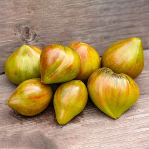 977 Malachite Elf Tomato Seeds | Solanum lycopersicum | Tall Midseason Green-Pink Tricolor Heart Salad Tomato, 7-12.3 oz