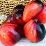 955 Sergeant Pepper's x Pascal Tomato Seeds | Solanum lycopersicum | New Antho Red Heart Tomato, 5-12 oz