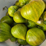 1023 Aliris Golden Heart Tomato Seeds | Solanum lycopersicum | Emerald Green Pointed Heart Tomato, 7-14 oz