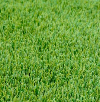 OptiGrowth Coated Fireball & Hattrick Perennial Ryegrass Seeds | Lolium perenne, Dark‑Green Fine‑Blend Turf Grass, High‑Traffic Lawn & Sports Turf