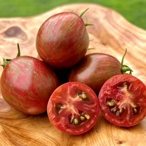 936 Dwarf Super Cool Melody Tomato Seeds | Solanum lycopersicum | Determinate Chartreuse-Leaf Striped Container Tomato, 2-3 oz