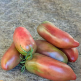 898 Wessel's Purple Pride Tomato Seeds | Solanum lycopersicum | Indeterminate Sweet Purple Plum Tomato, 5.3-8.8 oz