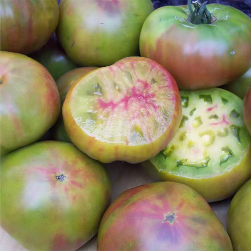 914 Black Pineapple Tomato Seeds | Solanum lycopersicum | Indeterminate Mid-Season Beefsteak Tomato, 10.6 oz+