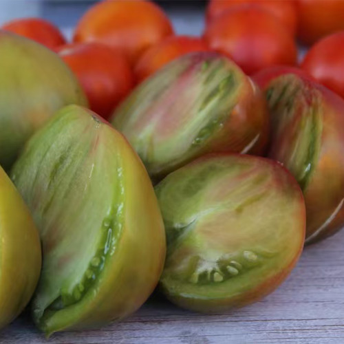915 Moldovan Fairy Tale Tomato Seeds | Solanum lycopersicum | Indeterminate Mid-Season Green Chocolate Tricolor Tomato, up to 12.3 oz