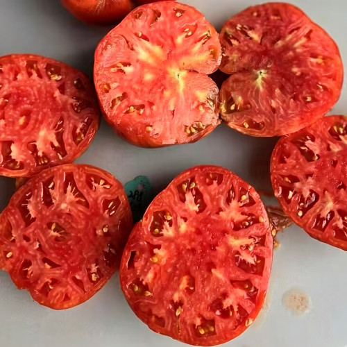 865 Galact Tomato Seeds | Solanum lycopersicum | Rare Scarlet-Black Tomato with Rich Juicy Flavor