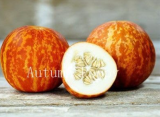 Tiger Melon Seeds | Cucumis melo | Rare Heirloom Aromatic Striped Melon, Sweet‑Fragrant Fruit