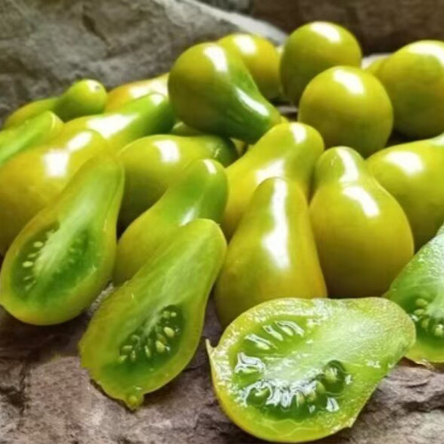 823 Green Pear Tomato Seeds | Solanum lycopersicum | Rare Indeterminate Green-Gold Pear Cherry Tomato, 0.7 oz