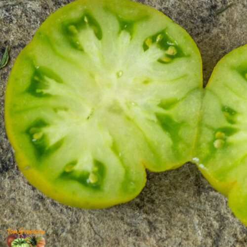 735 Dwarf Green Giant Tomato Seeds | Solanum lycopersicum | Compact Green Beefsteak Tomato, Ripens Amber