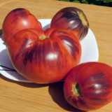 732 Sergeant Marley Tomato Seeds | Solanum lycopersicum | Mid-Season Giant Heart-Shaped Tomato, Deep Red with Anthocyanin