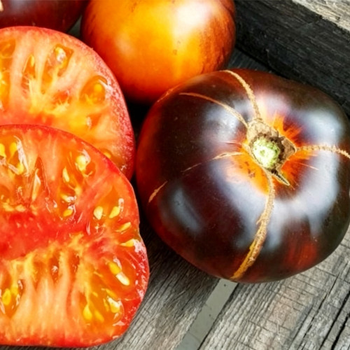 753 Blue Jolies Tomato Seeds | Solanum lycopersicum | Anthocyanin Bicolor, Dark Purple Shoulders, Sweet Jammy Flesh