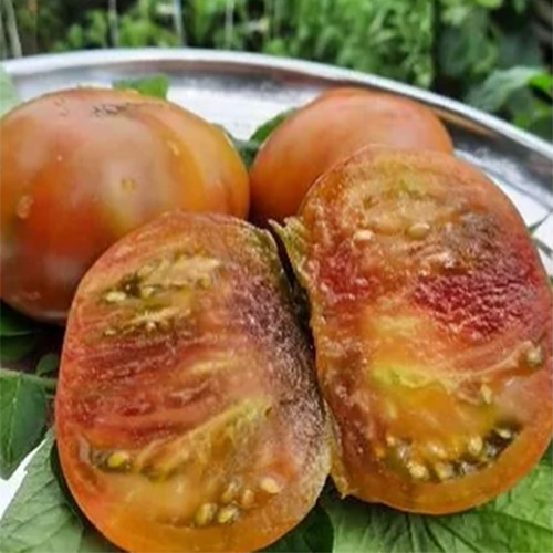 724 Purple Ambrosia Tomato Seeds | Solanum lycopersicum | Mid-Season Indeterminate Purple Tomato, Sweet and Juicy