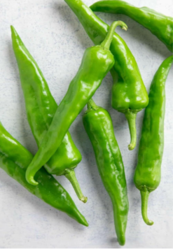 Hatch Sandia Chili Pepper Seeds | NuMex Hot Green Chile, Great for Ristra, Roasting & Fresh Cooking