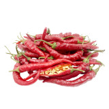W960 Portugal Delicious Pepper Seeds | Thin-Walled Sweet Hot Pepper, 65-75 Days, Long Red Fruit