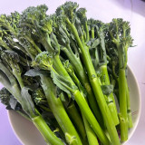 W962 Jie Mei Sprouting Broccoli Seeds | Brassica oleracea var. italica | Sweet Tender Stems, Repeated Harvest Variety