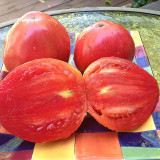 W954 Hungarian Heart Tomato Seeds | Solanum lycopersicum | Red Oxheart, 8-16 oz Fruits, Sweet Meaty Flavor, Great for Sauces