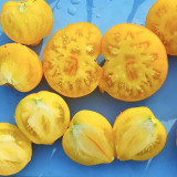 639 Anna Banana Russian Tomato Seeds |  Yellow Heart-Shaped, 6-8 oz