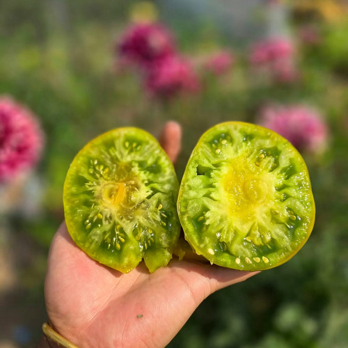 575 The Eighth Wonder of the World Tomato Seeds | 7.1-10.6 oz Emerald-Green Fruits, Early Indeterminate